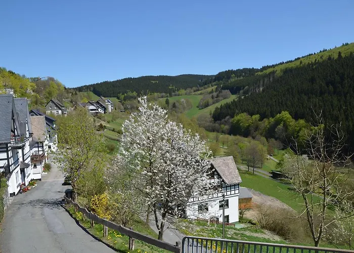 弗拉乡村民宿 施马伦贝格