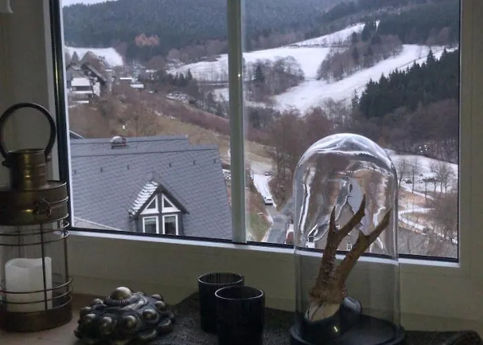 弗拉乡村民宿 *